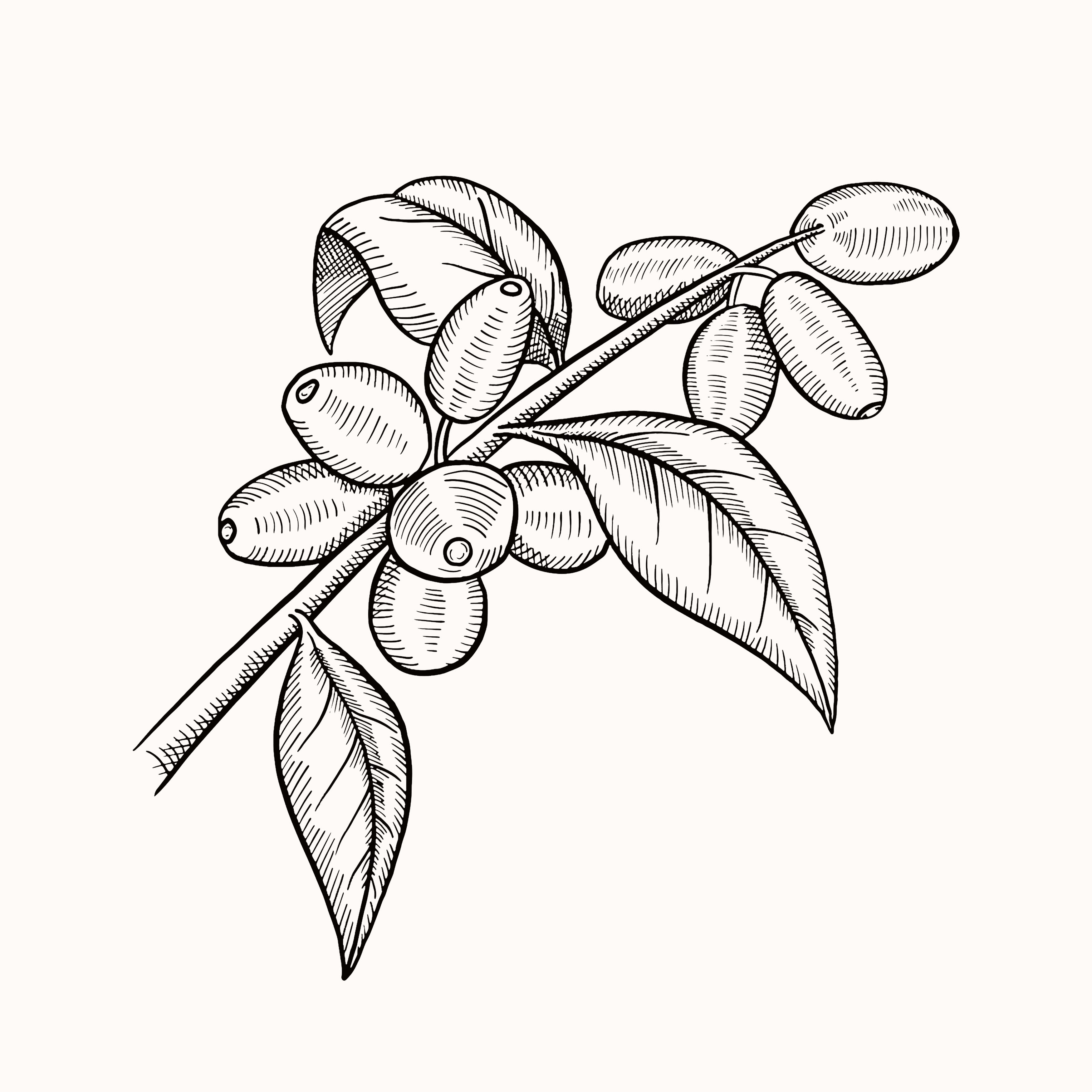 feature-item-3