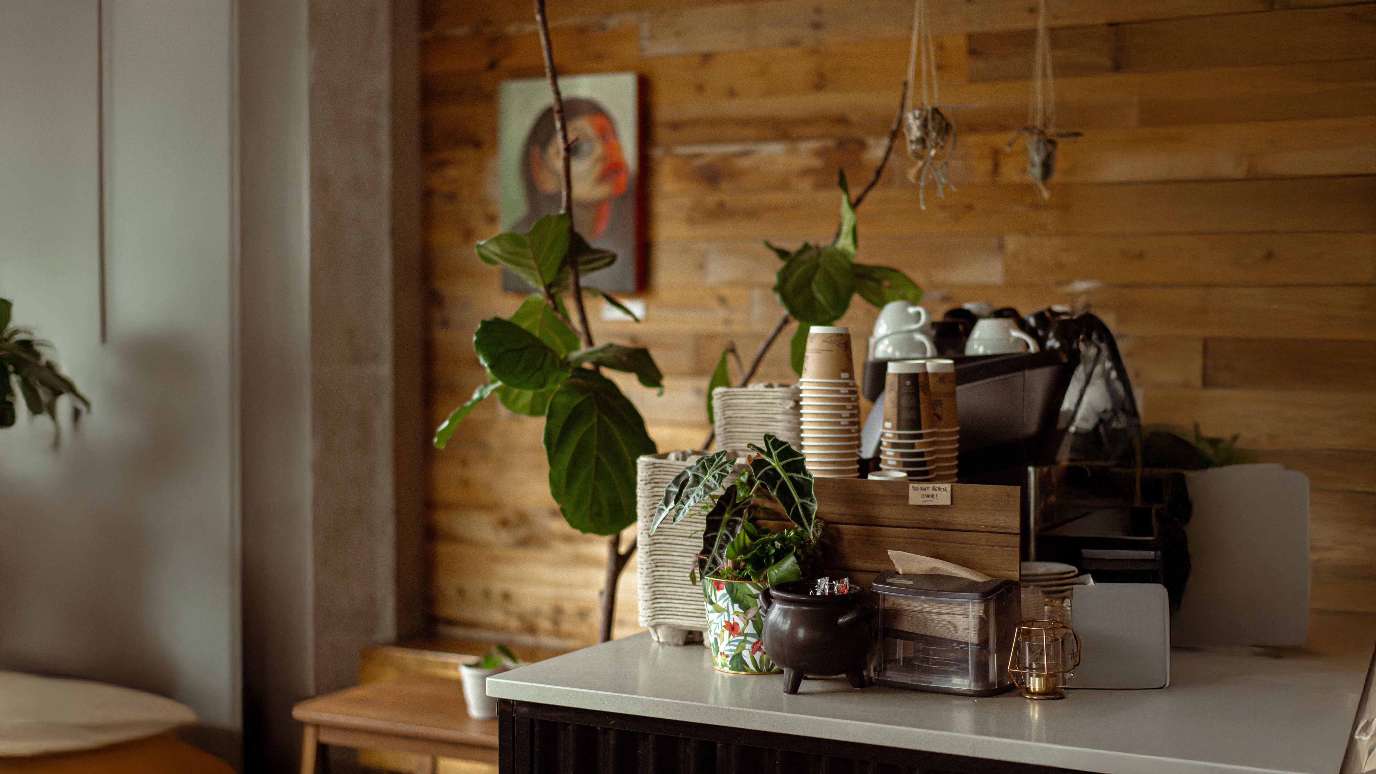 Decorative items on a cafe counter with a wooden wall and framed picture in the background
