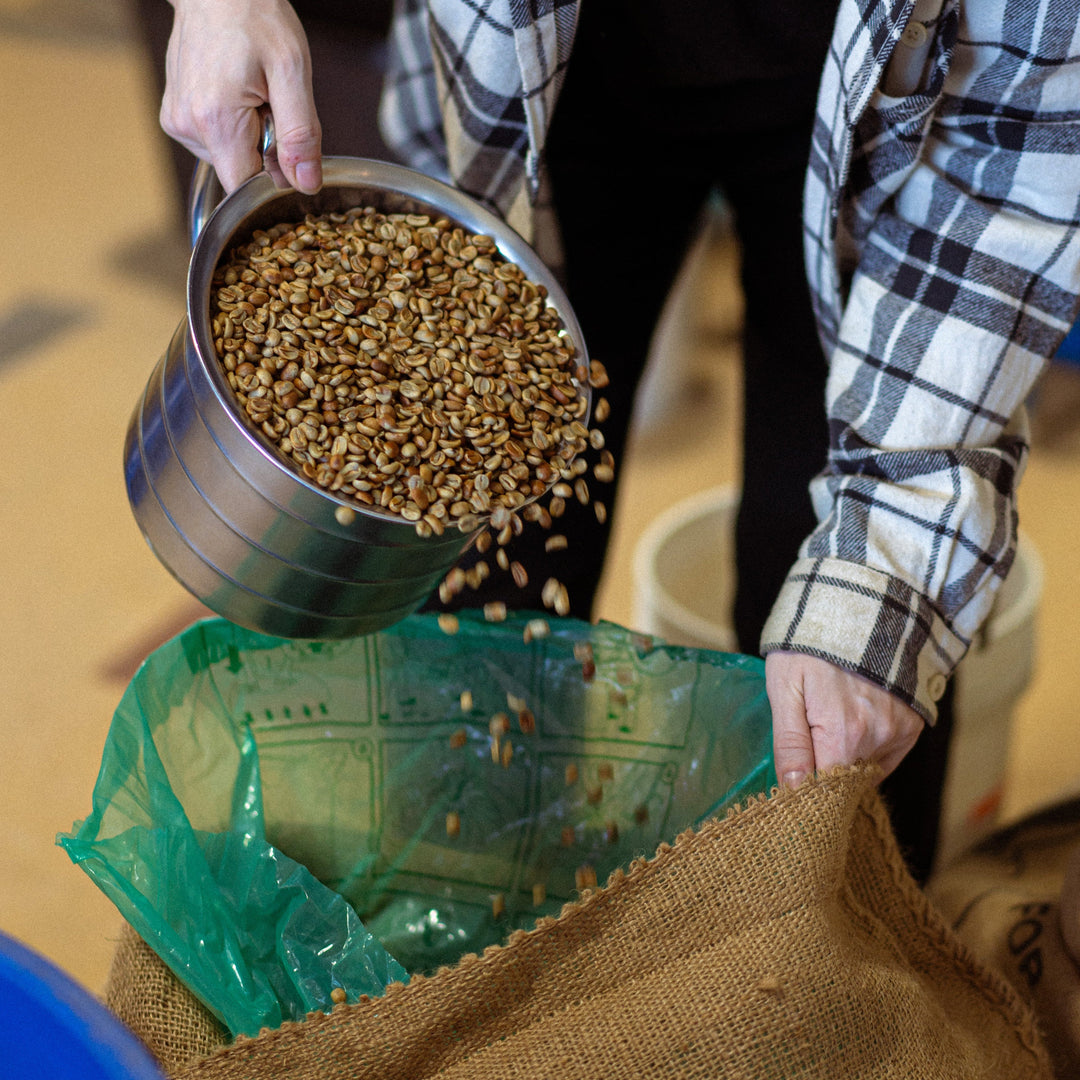 Ethiopian Guji