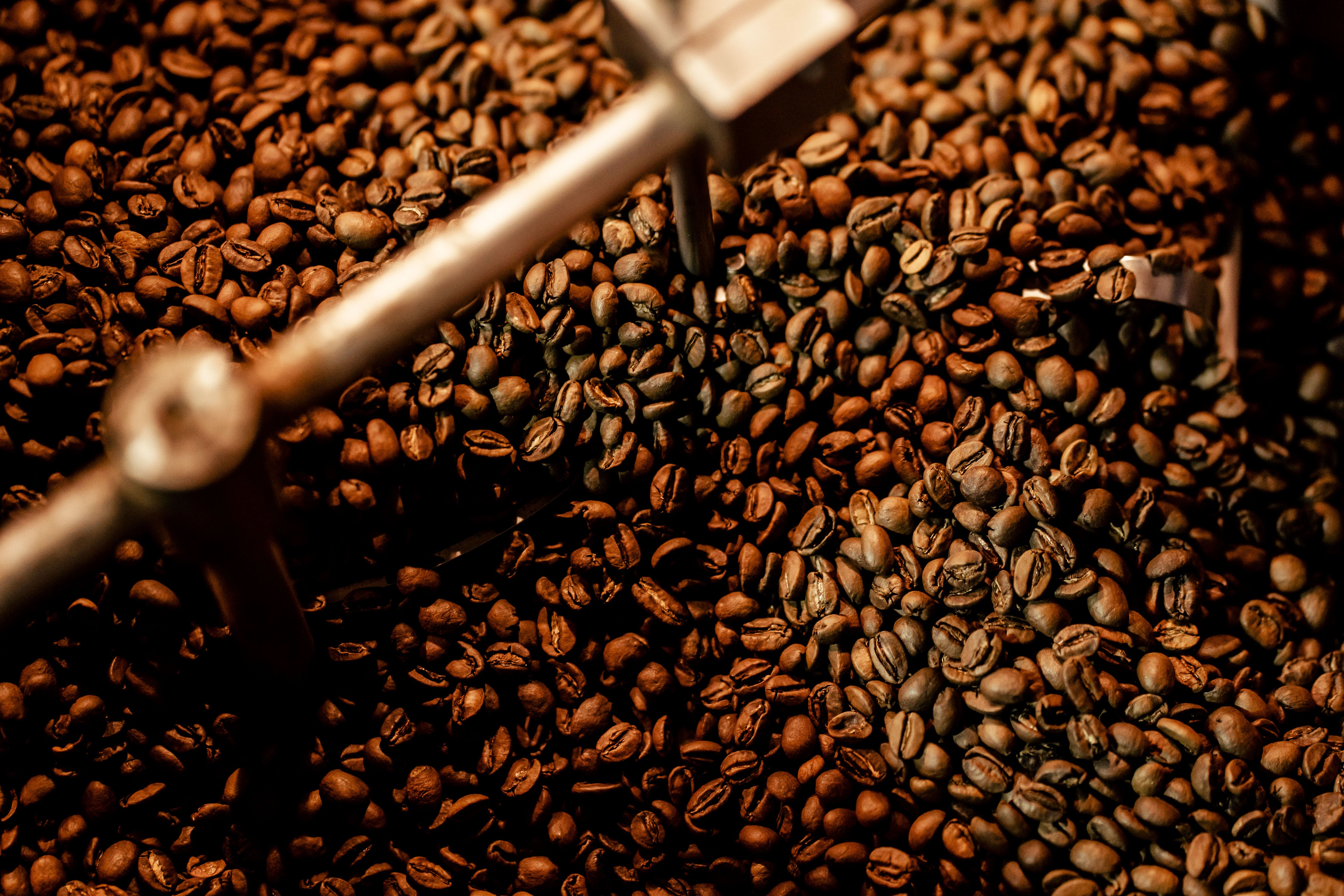 Happy goat coffee roasting and cooling in roaster drum in Ottawa