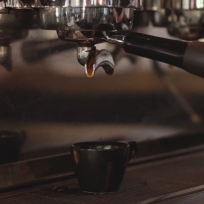 espresso shout being poured into cup
