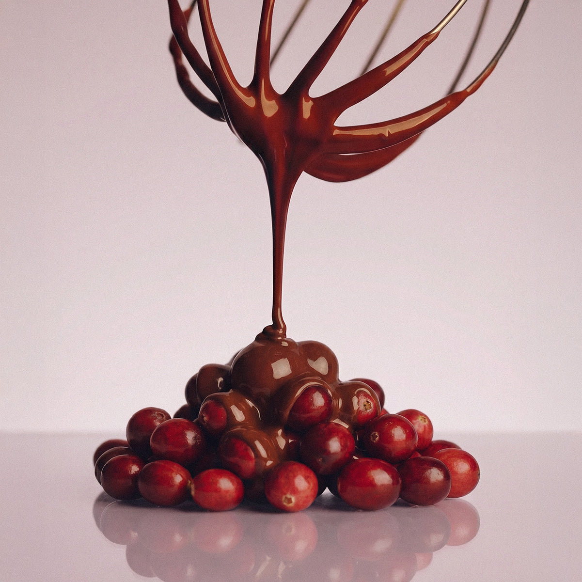 Costa Rica Finca Vajusa